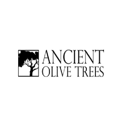 Ancient Olive Trees