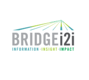 bridgei2i analytics solutions