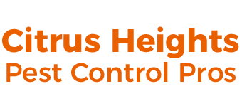 Citrus Heights Pest Control Pros