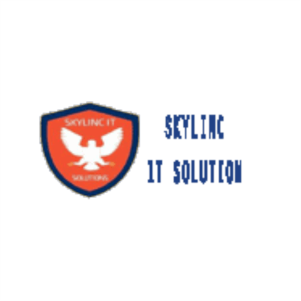 Skylinc IT Solution