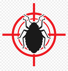 Bed Bug Exterminator Houston