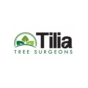 Tilia Tree Surgeons