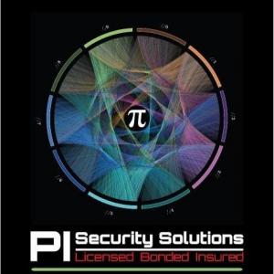 pi security solutions