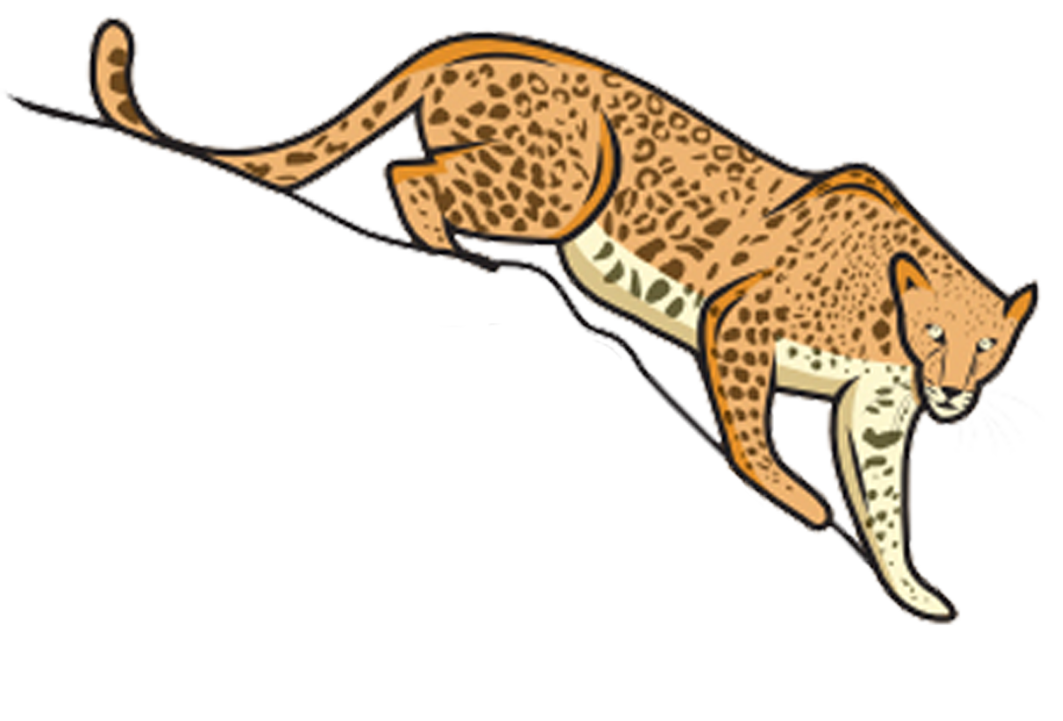 jawai safari
