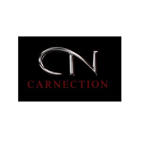 CarNection Auto Group