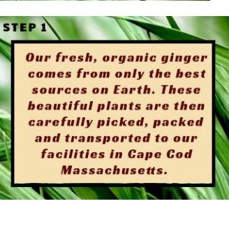 Organic Ginger Ale