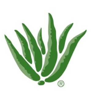 Aloe Up - Natural sunscreen, Cosmetics online shop