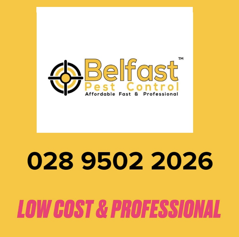 Belfast Pest Control